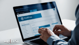 fiverr-wordpress-customization-dashboard